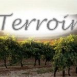 terroir là gì